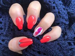 palmiers rose cyclam.JPG